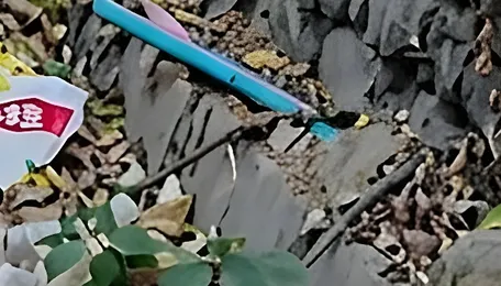 Who cleans up? Garbage piles up along Karnataka’s forested ghats 