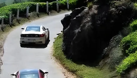 Bengaluru Ooty Road Trip Trend Highlights Eco Tourism Shift