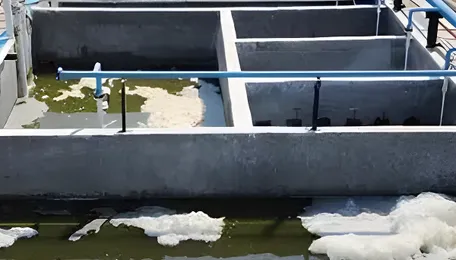 Siripuram Panchayat gets 500 KLD effluent treatment plant 