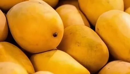 Hyderabad police launch crackdown on illegal mango ripening agents 