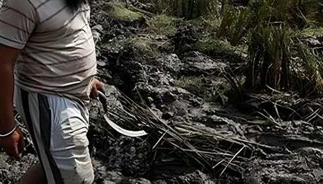 Southwest monsoon in India and Pakistan responsible for highest number of fatalities among 2025’s major climate disasters: Christian Aid report 