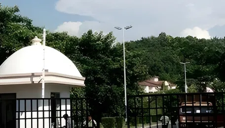 IIT Guwahati develops algae-based solution to remove lead from contaminated water 