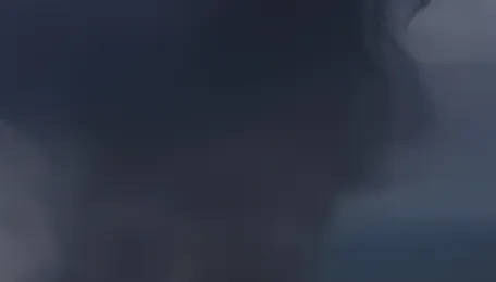 CII seeks faster fuel shift, gas allocation transparency