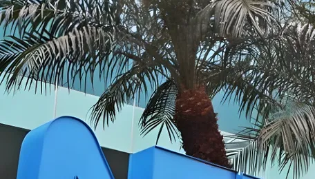 Delta Boosts India’s EV Growth Through Local Manufacturing 