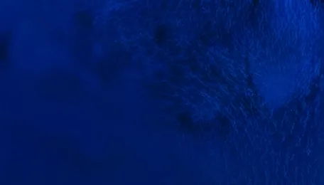 Krishana Phoschem commences commercial production at expanded DAP-NPK facility in India