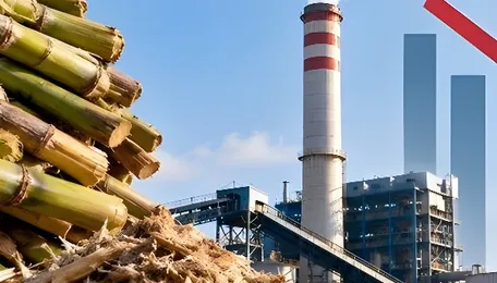 Brazil’s July bagasse power sales hit decade-low; India generation also falls 