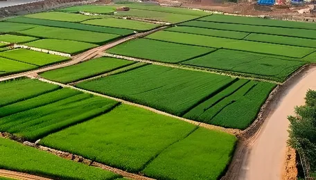 Panipat Property Market Gains Urban Momentum