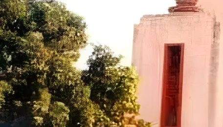 Indore News: High Court Seeks Detailed Response On Metro Project; Next Hearing On Dec 8 