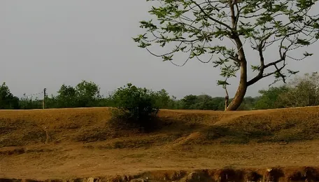 Maharashtra Groundwater Stress Deepens Before Monsoon
