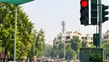 Nagpur Moves To Regulate Green Net Installations