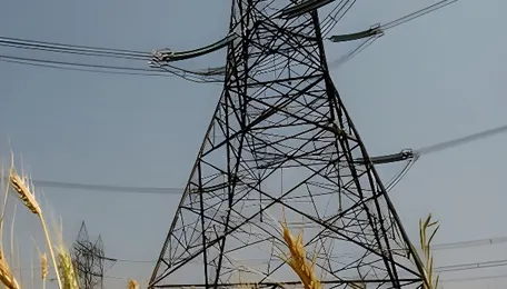 Gujarat Farmers Continue Agitation Against Electricity Poles on Agricultural Land, Reject Govts Offer 