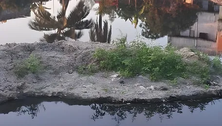Chennai Fringe Faces Growing Sewage Crisis