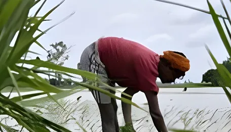 Polavaram Project Delay: CAG Report Highlights Issues 