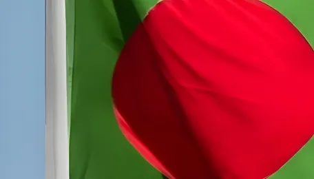 Bangladesh power costs climb despite falling coal and oil prices 