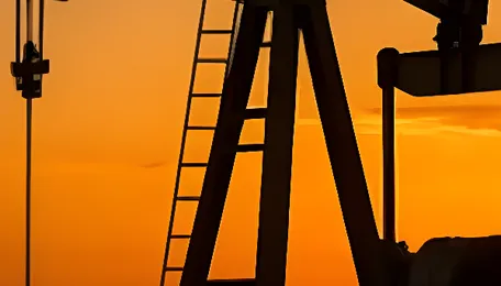India Shielded Consumers from Gulf Crisis Through Timely Energy Measures, Says Former Petroleum Ministry Official 