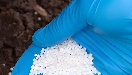 Global Urea Climbs 4-8 per cent in October as Tight Supply Lifts Prices 