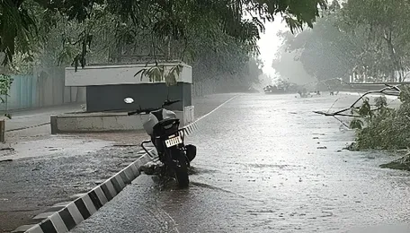 Storm exposes weak links in Bhubaneswar's energy infrastructure as
residents struggle with outage 