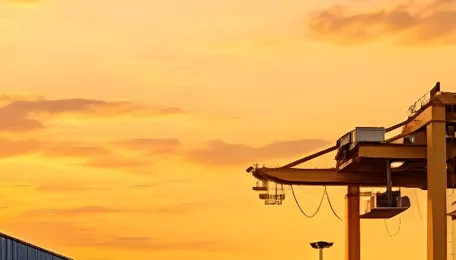 Budget 2026: Customs amnesty scheme on the anvil 