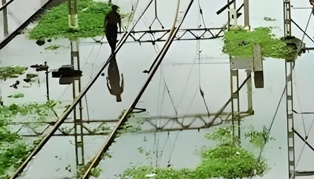 Pune Rail Disruptions Expose Climate Mobility Risks