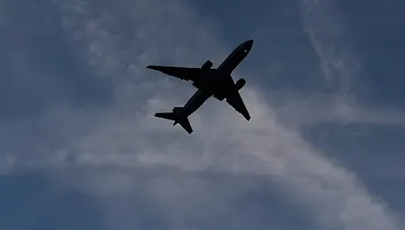 Early-bird discounts fade as domestic airfares stay high months ahead