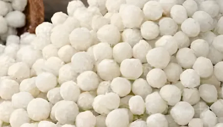 US DAP Prices Fall in January 2026, Rebounds 3.3% in Early February on Cautious Demand