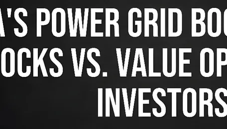 India's Power Grid Boom: High P/E Stocks vs. Value Options for Investors 