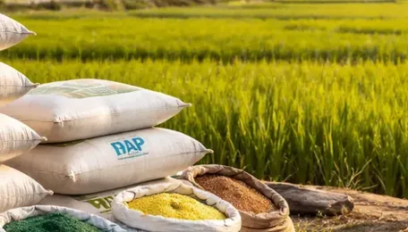 India Fertilizer Imports Shift Towards Strategic Partnerships