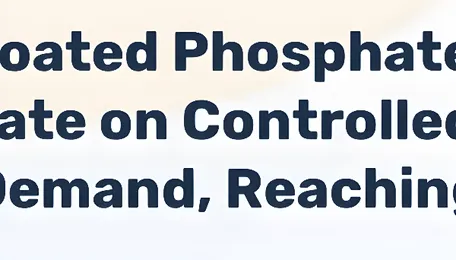 Polymer-Coated Phosphate Market to Accelerate on Controlled-Release Fertilizer Demand, Reaching 2035 Growth 
