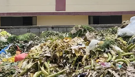 Bengaluru Waste Crisis Exposes Urban Service Gaps