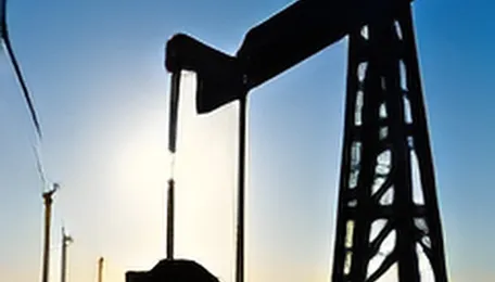 US crude inventories rise while fuel stocks decline, EIA says