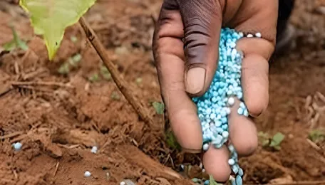 The hidden fragility of India’s fertiliser economy 