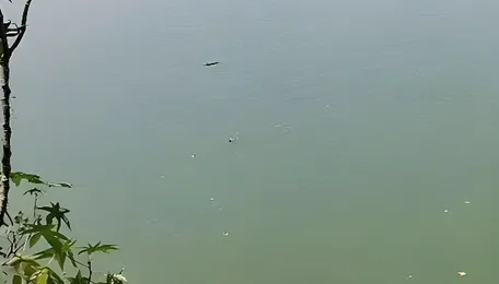 Bhiwandi Youth Launch Weekly Cleanup Drive To Save Severely Polluted Varala Lake