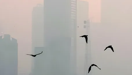 Mumbai AQI hits 104, Bandra Kurla Complex in severe range 