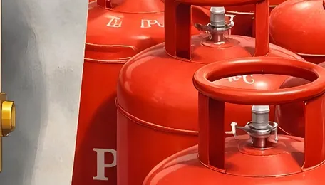 India wants to switch from LPG to PNG 