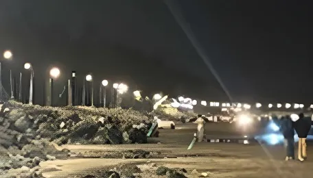 Adani Electricity, BMC light up 2.5-km Gorai Beach stretch in Mumbai 