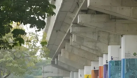 Surat Art Industry Push Signals Economic Diversification Shift