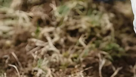 India widens push for balanced fertiliser use as soil health takes centre stage 