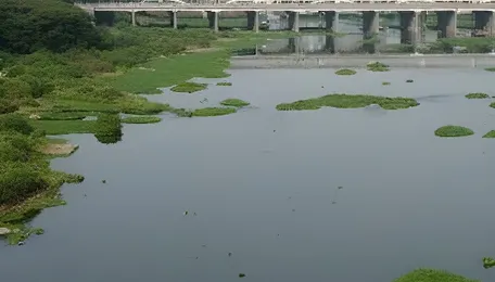 Pune Riverfront Review Puts Ecology In Focus