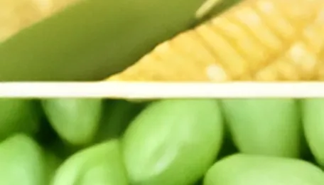 Soybeans and corn rise ahead of Trump-Xi meeting this week