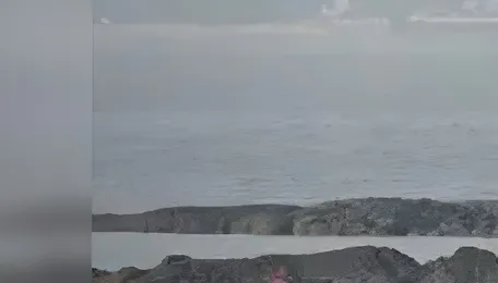 Maharashtra: 37% of Thane bakeries use coal, sparks pollution concerns 