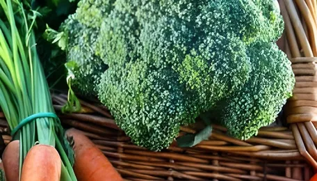 3 in 4 Indian homes do not trust suppliers to sell naturally ripened fruits and vegetables 