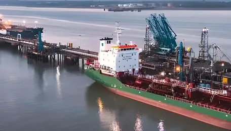 India grants waivers for some ships to deliver Iran cargoes 