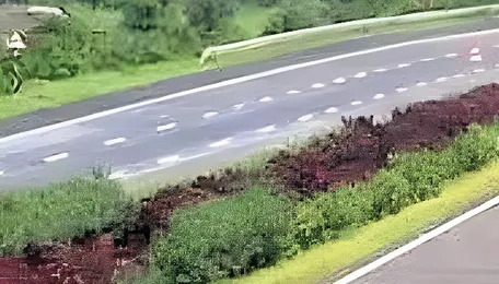 New highways must have enough surviving trees before NHAI allows them to open for traffic 