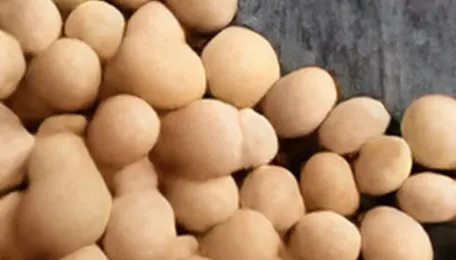 Soybeans fall on forecasts for better Midwest rainfall