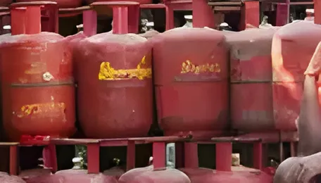Household LPG sales fall 8% in March