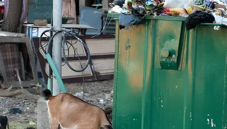 Chennai Public Spaces Face Growing Waste Misuse
