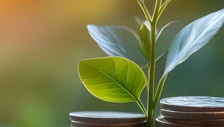 India’s Climate Finance Requirements – Steel and Cement Overwhelm Power 
