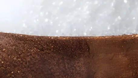 Xylitol: The science of a healthier and greener sugar substitute 