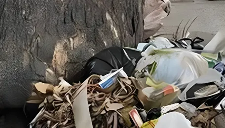 Bengaluru Launches Stronger Drive Against Construction Debris
