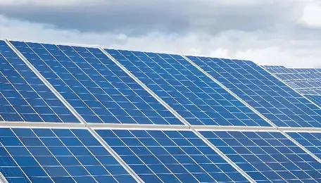 South Bengaluru emerging as Karnataka’s green capital